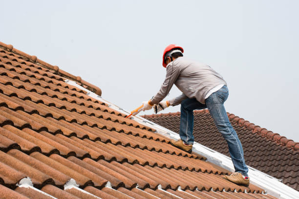 Best Cold Roofs  in Paris, TN